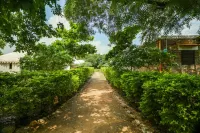 Varawal Jawai Leopard Safari Camp Hotels in Bera