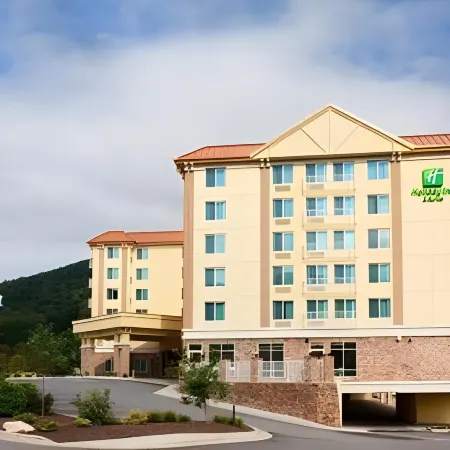 Holiday Inn Express & Suites ASHEVILLE DOWNTOWN by IHG