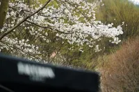 Forest 323 Pension (Newly Opened in 2024)