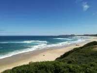 Experience Nature at Brenton on Sea with breakers dolphins and whales