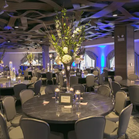 Hotel Indigo NAPERVILLE RIVERWALK by IHG