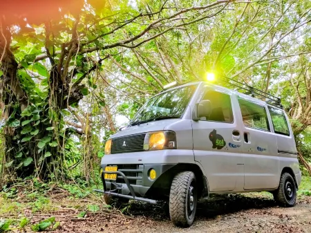 Amami Guest House Showa-so Отели рядом с достопримечательностью «Banyan Tree»