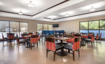Comfort Suites Old Town Spring