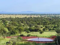 Kirawira Serena Camp - Homestays