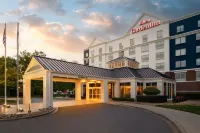 Hilton Garden Inn Rock Hill - bar
