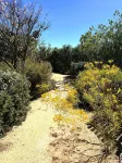 Whispering Hills Ranch 5 minutes from Wine Trail El Capitán State Beach 주변 호텔