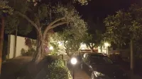 Mediterranean Relax