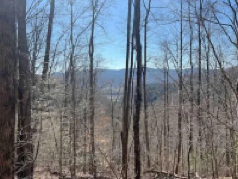Welcome to Outlaw Acres at Hatfield McCoy. Mountain Home on 21 Acres