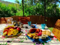 Casa Anita (Wild House) An oasis surrounded by nature 200 meters from the sea