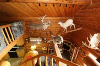 Unique Alaskan Log Home in Trees & Wild Flowers on 14-Acre Private Homestead.