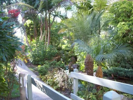 Stunning ocean views beach balcony 10 min to LEGOLAND CA King bed,pool and grill