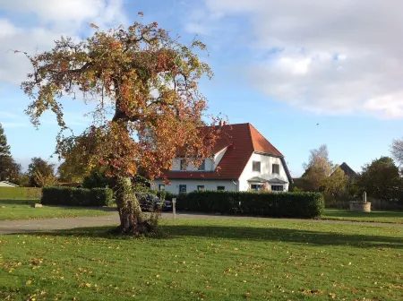Comfortable holiday house for 7 persons with sauna, 110 sqm, in the south of Rügen