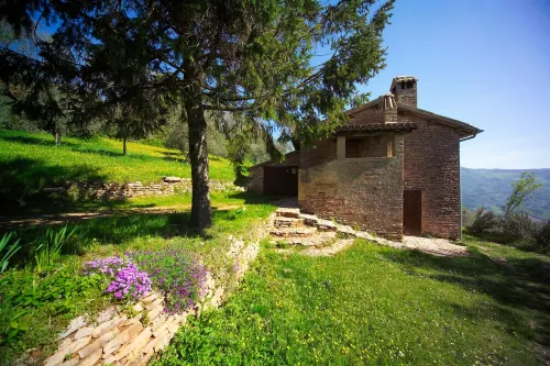 Art, nature and peace upon the mountain of St. Francis.
