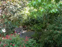 Beautiful Cozy Bedroom In Great B&B  Historic Home ~ Close To The City Center