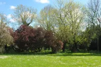 Gîte L'olivier Hotels in Bazoges-en-Pareds