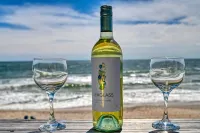 Charm Getaway - Oceanfront family home in a quiet stretch of Surf City !