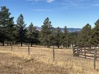 Cozy brand new tiny home! Amazing experience