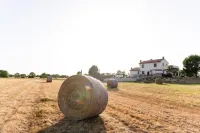 4 Bedroom Villa in Tuscany