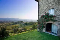 XII century farmhouse on the hills above Lucca with chef. Only local food.