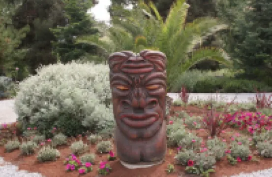 Three bedroom/three bath resort style home with saltwater pool and spa