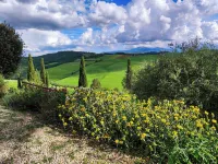 Mascagni farmhouse among the olive trees and the Tuscan hills in the Val d'Orcia Hotels in Pienza