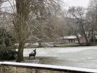 3-bedroom house in the heart of the National Forest Park Hotels in Arc-en-Barrois