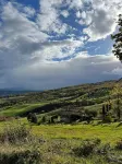 Poggio Bicchieri Farmhouse - Val d'Orcia Memory Apartment
