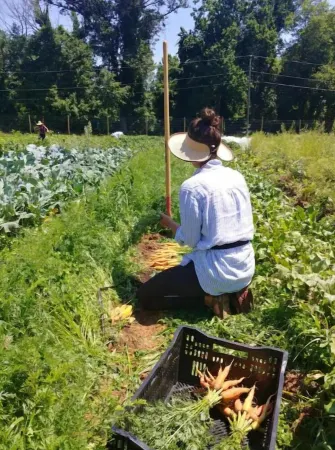 Cosy studio on an organic farm, pet friendly! Just minutes from Middleburg.