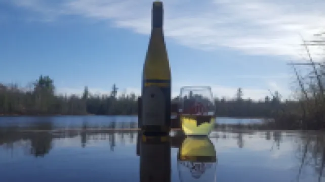 Amazing Dome! Panoramic Barrel Sauna! Hot Tub! Sleeps 6 Pet Friendly, Fire Place