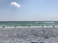 Gulf Front Condo!!
