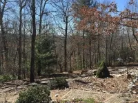 Justa Cabin, Blue Ridge Mtns, Peaceful Getaway, Mins from Lake Nottely!