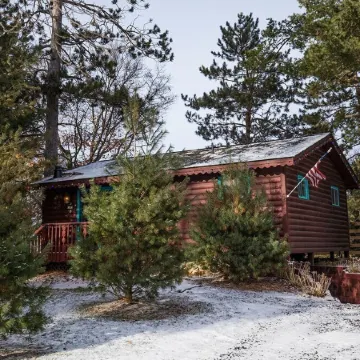 Rustic and Charming one Bedroom cabin. Upgraded pontoon!