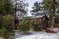 Rustic and Charming one Bedroom cabin. Upgraded pontoon! - Wi-Fi