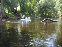 Just What You Are Looking For, Get Away From It All And Bring The Pets Too. Hotels in Ridge Manor