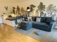 Cozy Apartment in a Quiet Location with Balcony - Tourist Tax and Final Cleaning Included Hotels in Lenzkirch