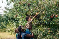 Escape to our luxe, pet-friendly Blue Ridge cabin—sleeps 14 with top amenities!