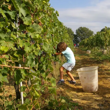 Agriturismo le Baccane