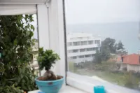 Nea Kallikratia 海灘上的達迪