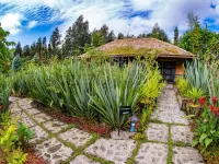 Sambora Kinigi Hotels near Bisoke Hike Volcanoes National Park