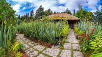 Sambora Kinigi Hotels in 