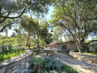 Captain Ikaros Hotels in Ikaria