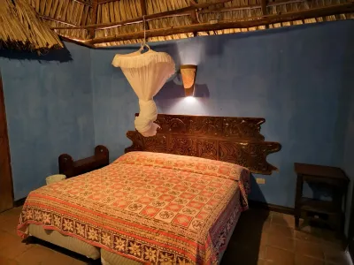 Hotel Pez de Oro Hotels in 