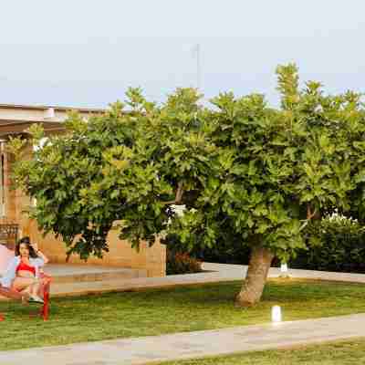 DomusTerraMare Hotel Exterior