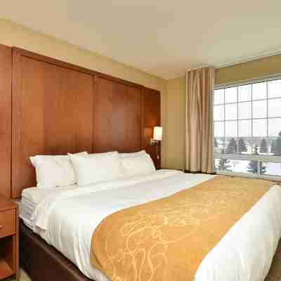Comfort Suites Rooms