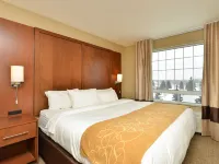 Comfort Suites Hotels in Minot