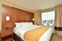 Comfort Suites Hotels near Scandinavian Heritage Park