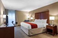 Comfort Inn Biltmore West