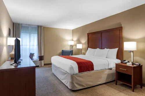 Comfort Inn Biltmore West Hotel a Candler