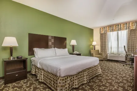 Holiday Inn Express & Suites Dumas