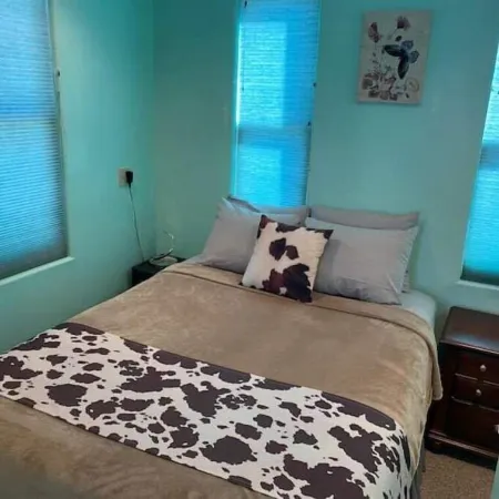 Wild West Rockies! PET FRIENDLY!2 Fenced-in yards!JACUZZI HOT TUB!